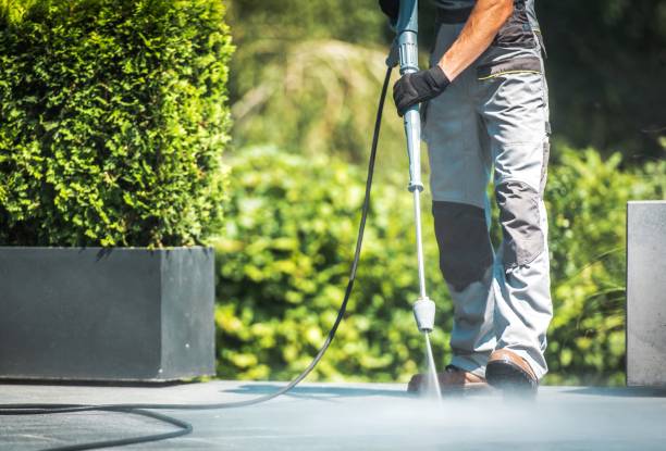 Animal Enclosure Cleaning in Grand Mound, WA