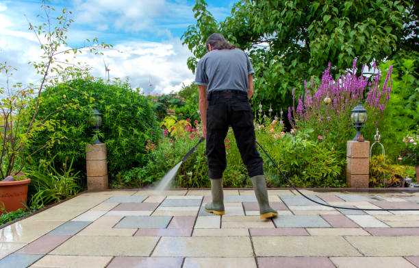 Best Sidewalk and Walkway Cleaning  in Grand Mound, WA